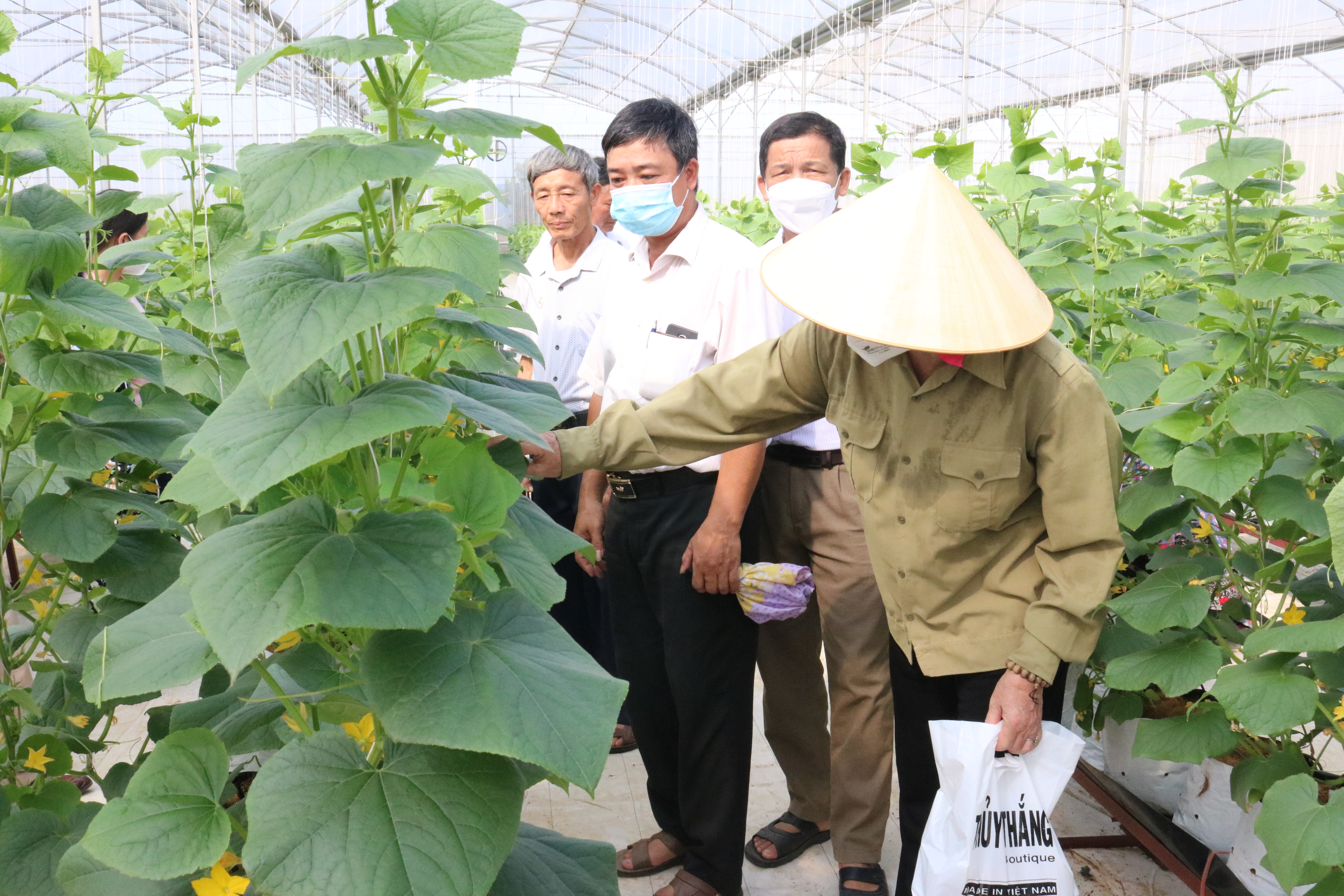Yên Dũng: Đẩy mạnh sản xuất nông nghiệp ứng dụng công nghệ cao